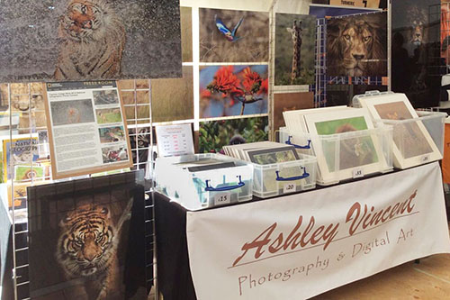 event stand of wildlife photographer Ashley Vincent