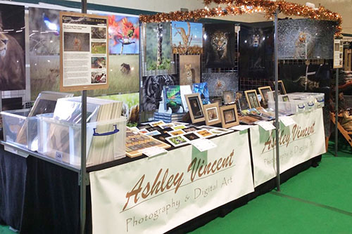 indoor Christmas event stand of wildlife photographer Ashley Vincent