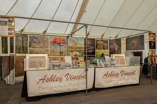 Ashley Vincent's event stand at Windsor Racecourse
