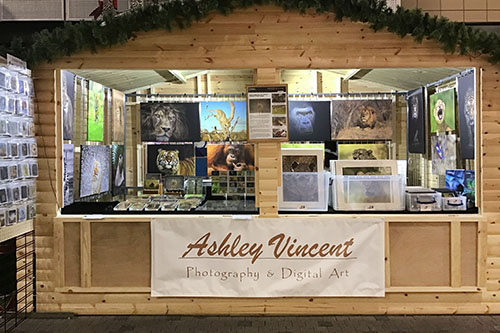 Ashley Vincent's Christmas Chalet at The Malls in Basingstoke shopping centre