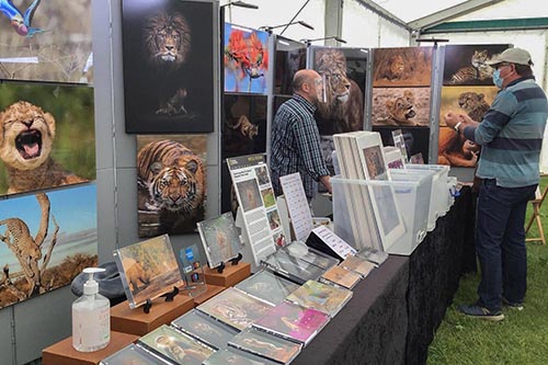 ashley vincent engaging with customers at the Blenheim Palace Flower Show