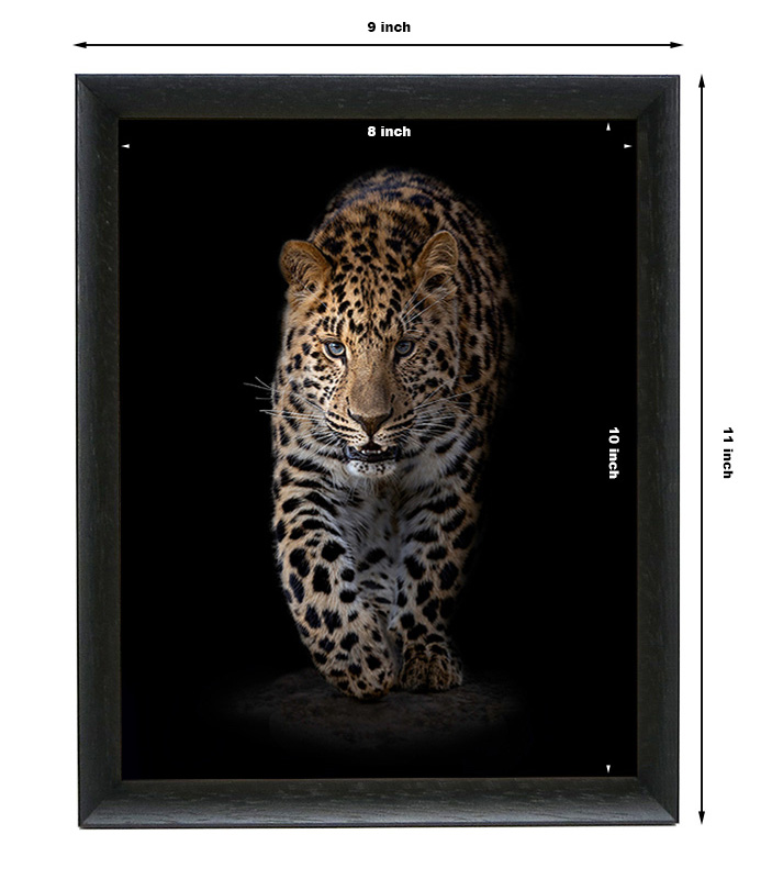 black picture frame example showing an Amur leopard on black background